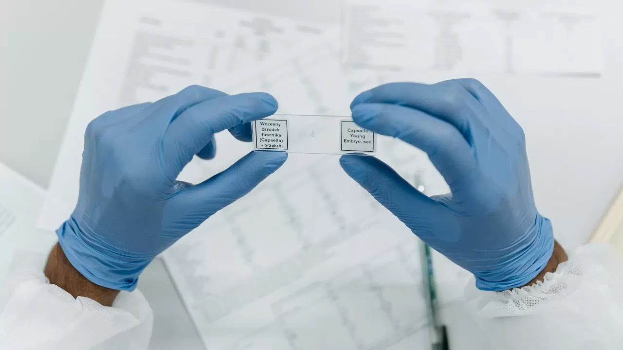 Polypeptides versus peptides: 