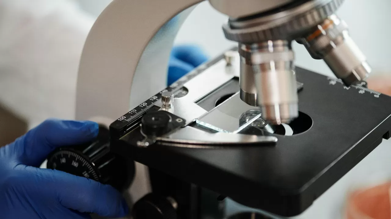 How do you identify peptides a