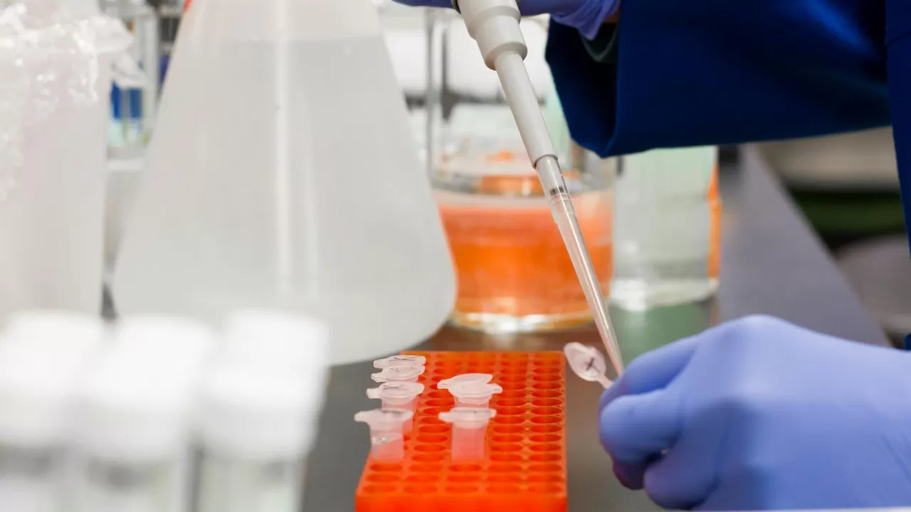 How might peptide hormone rese